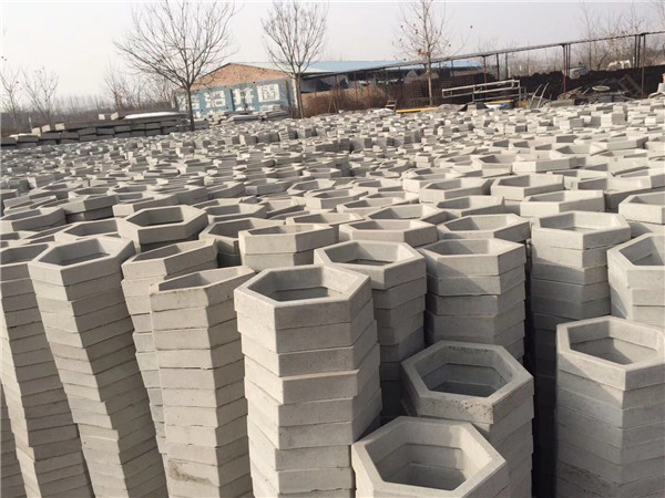 我們選擇彤宇，值了